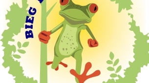 frog-race-plakat-2024